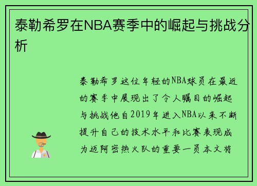 泰勒希罗在NBA赛季中的崛起与挑战分析